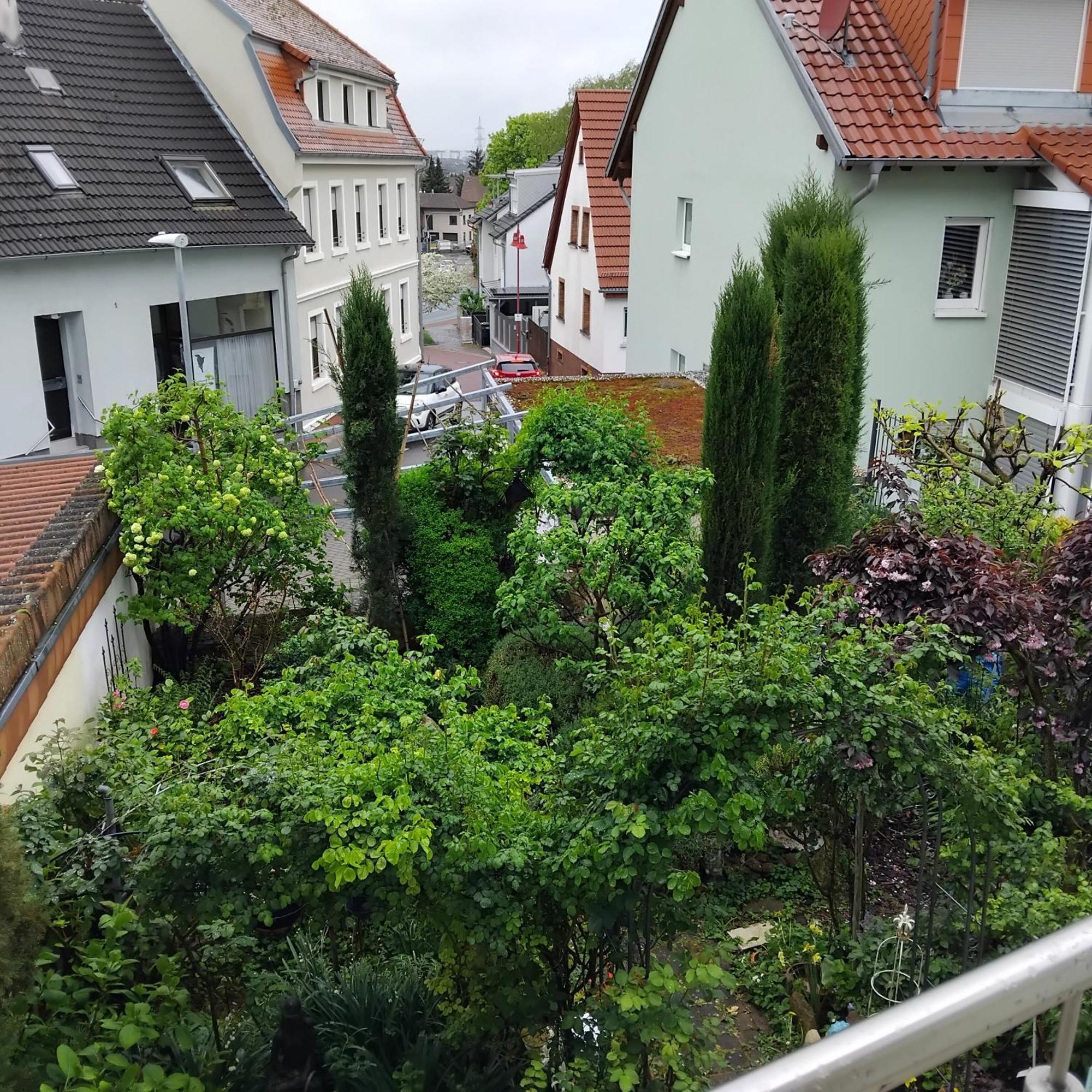 Residenz Am Berg Apartment Leimen  Exterior foto